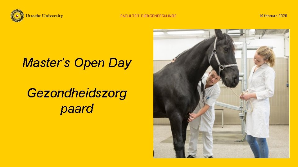 FACULTEIT DIERGENEESKUNDE Master’s Open Day Gezondheidszorg paard 14 februari 2020 