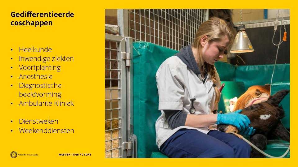 Gedifferentieerde coschappen Heelkunde Inwendige ziekten Voortplanting Anesthesie Diagnostische beeldvorming • Ambulante Kliniek • •