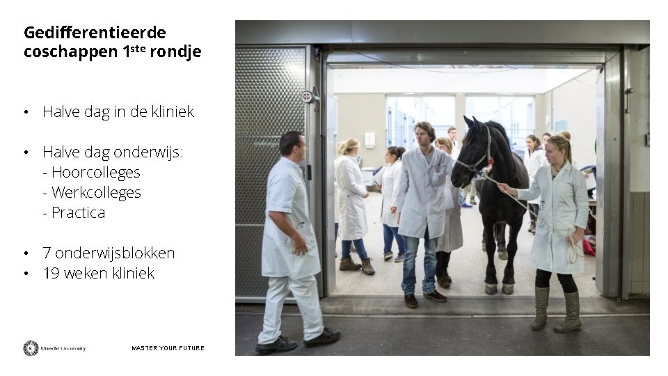 Gedifferentieerde coschappen 1 ste rondje • Halve dag in de kliniek • Halve dag
