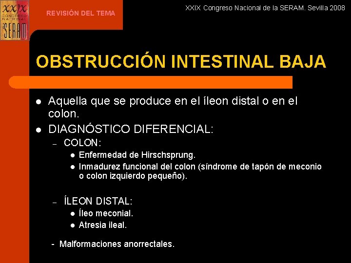 REVISIÓN DEL TEMA XXIX Congreso Nacional de la SERAM. Sevilla 2008 OBSTRUCCIÓN INTESTINAL BAJA