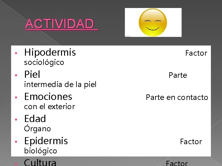 ACTIVIDAD • Hipodermis • Piel • Emociones • Edad • Epidermis sociológico intermedia de ACTIVIDAD • Hipodermis • Piel • Emociones • Edad • Epidermis sociológico intermedia de