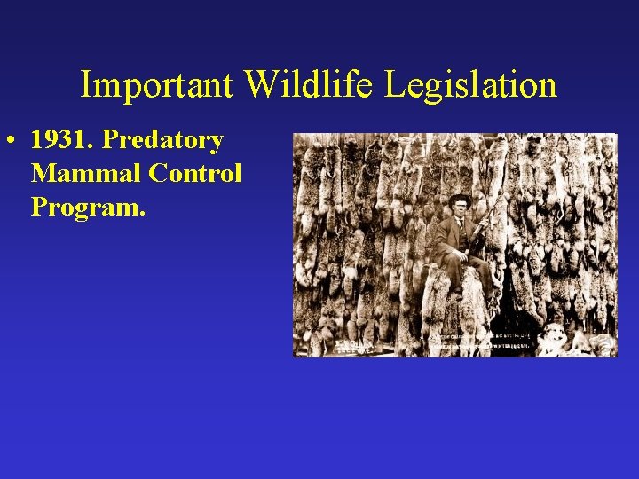 Important Wildlife Legislation • 1931. Predatory Mammal Control Program. 