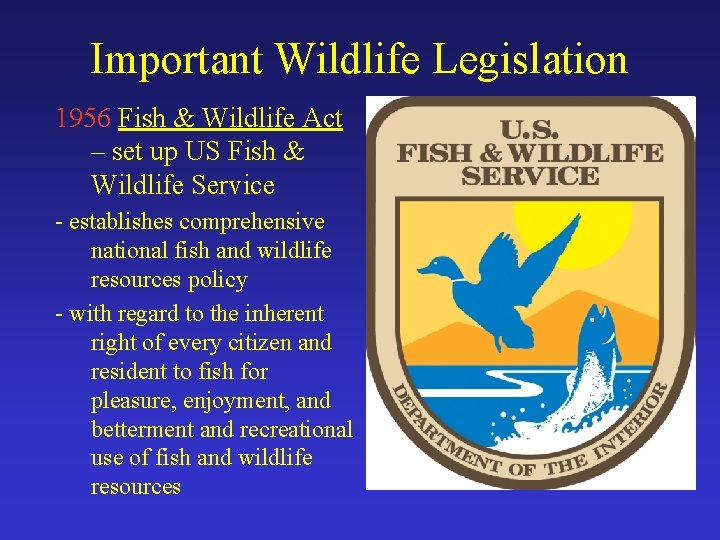 Important Wildlife Legislation 1956 Fish & Wildlife Act – set up US Fish &