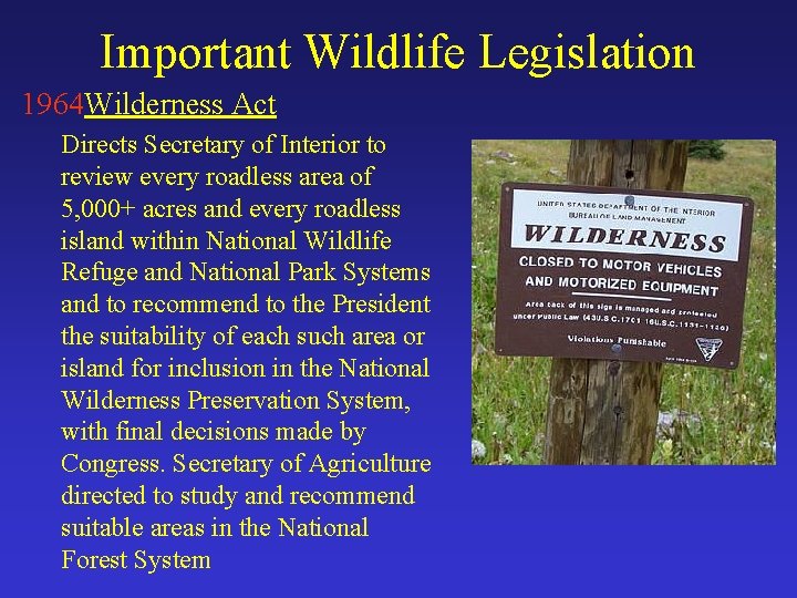 Important Wildlife Legislation 1964 Wilderness Act Directs Secretary of Interior to review every roadless