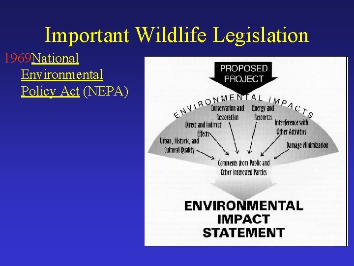 Important Wildlife Legislation 1969 National Environmental Policy Act (NEPA) 