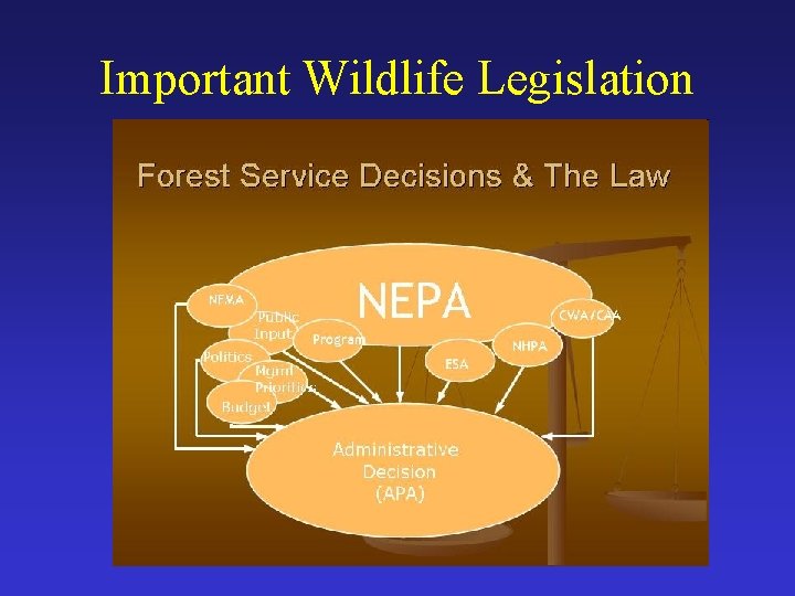 Important Wildlife Legislation 
