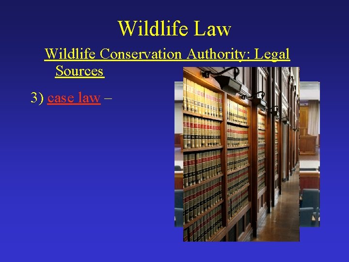 Wildlife Law Wildlife Conservation Authority: Legal Sources 3) case law – 