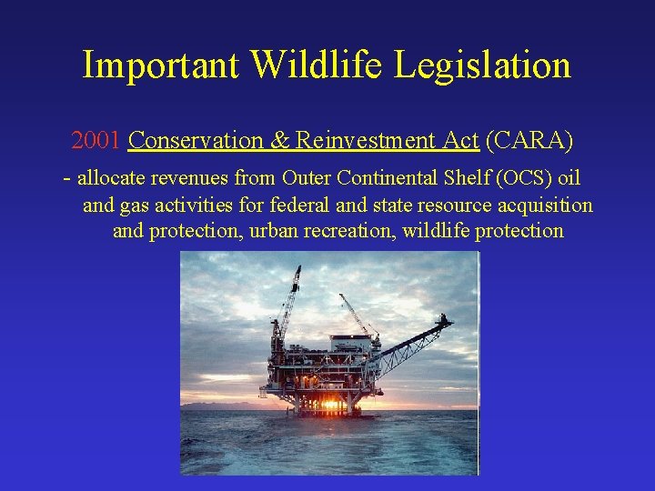 Important Wildlife Legislation 2001 Conservation & Reinvestment Act (CARA) - allocate revenues from Outer