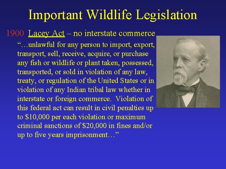 Important Wildlife Legislation 1900 Lacey Act – no interstate commerce “…unlawful for any person