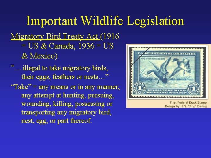 Important Wildlife Legislation Migratory Bird Treaty Act (1916 = US & Canada; 1936 =