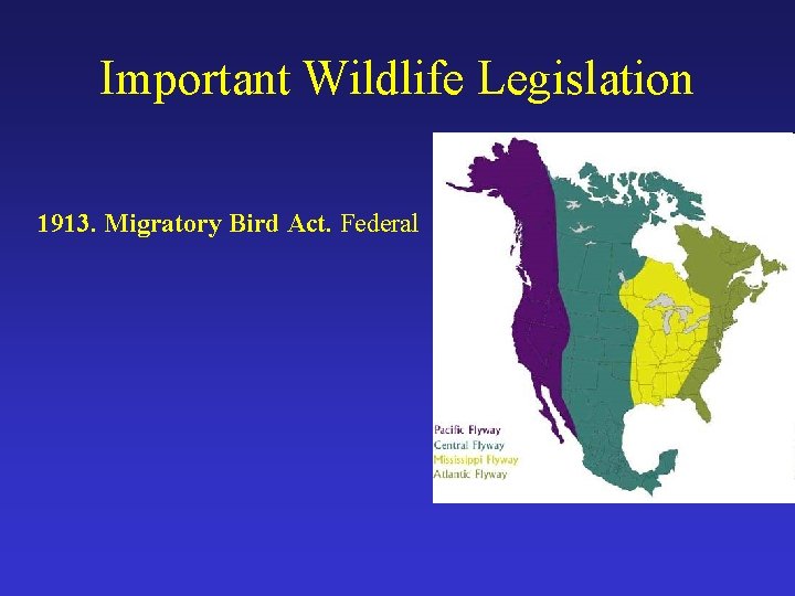 Important Wildlife Legislation 1913. Migratory Bird Act. Federal 