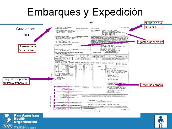 Embarques y Expedición Guía aérea Hija Numero de la Guia hija Agente transportista Numero