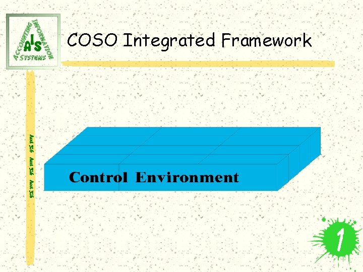 COSO Integrated Framework Acct 316 