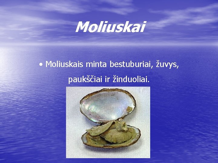 Moliuskai • Moliuskais minta bestuburiai, žuvys, paukščiai ir žinduoliai. 