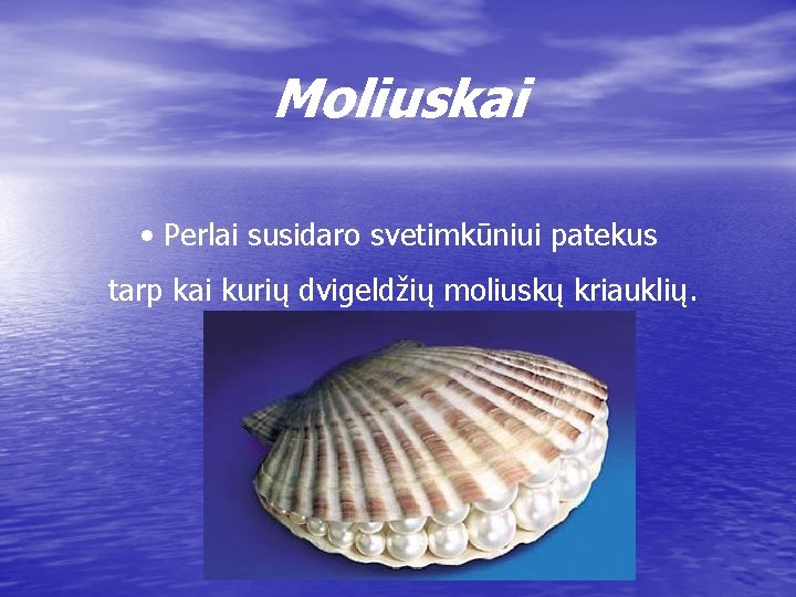 Moliuskai • Perlai susidaro svetimkūniui patekus tarp kai kurių dvigeldžių moliuskų kriauklių. 