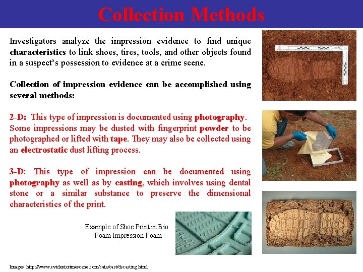 Collection Methods Investigators analyze the impression evidence to find unique characteristics to link shoes,