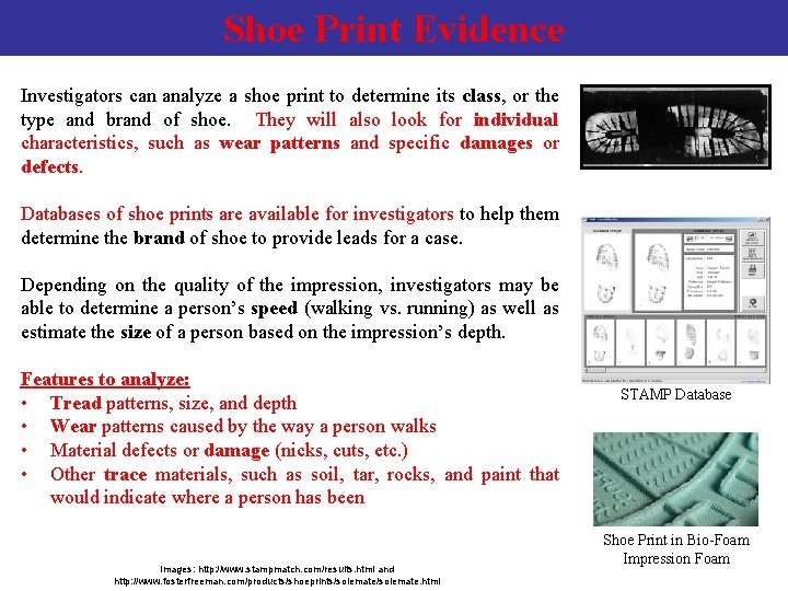 Shoe Print Evidence Investigators can analyze a shoe print to determine its class, or