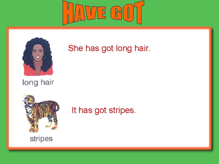 She has got long hair. It has got stripes. She has got long hair. It has got stripes.