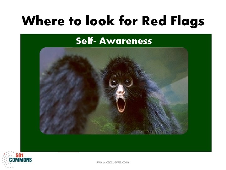 Where to look for Red Flags Self- Awareness Needs Thought s Wants Feelings Physical