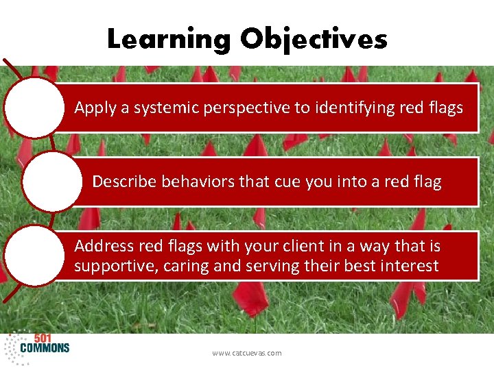 Learning Objectives Apply a systemic perspective to identifying red flags Describe behaviors that cue