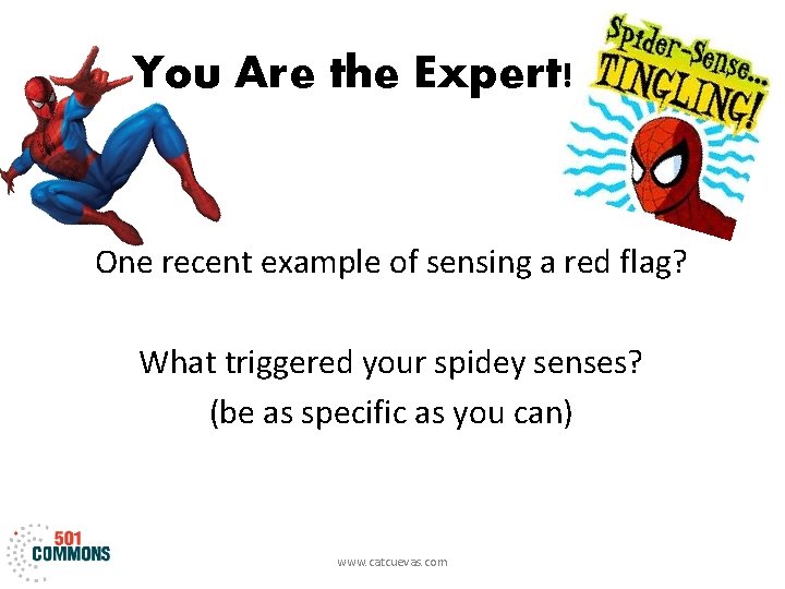 You Are the Expert! One recent example of sensing a red flag? What triggered