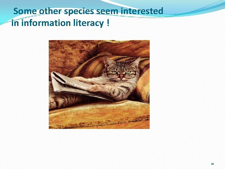 Some other species seem interested in information literacy ! 21 