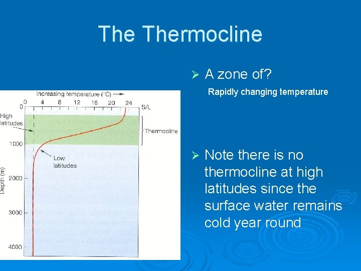 The Thermocline Ø A zone of? Rapidly changing temperature Ø Note there is no