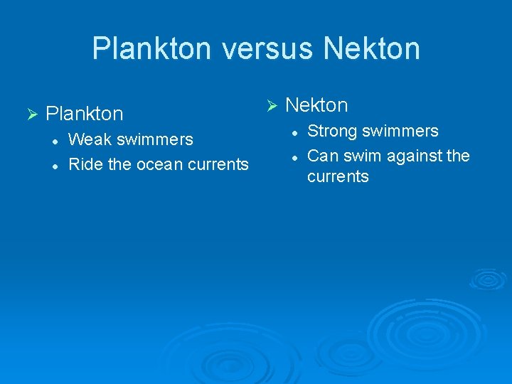 Plankton versus Nekton Ø Plankton l l Weak swimmers Ride the ocean currents Ø