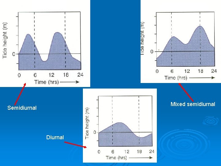 Mixed semidiurnal Semidiurnal Diurnal 