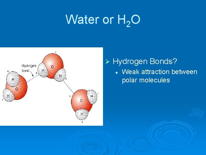 Water or H 2 O Ø Hydrogen Bonds? l Weak attraction between polar molecules