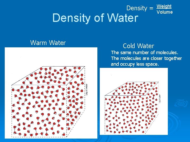 Density = Density of Water Warm Water Cold Water Weight Volume The same number