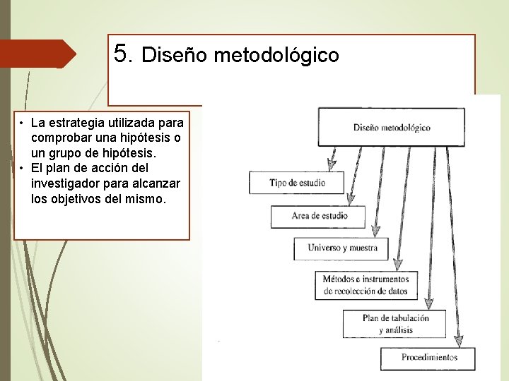 5. Diseño metodológico • La estrategia utilizada para comprobar una hipótesis o un grupo