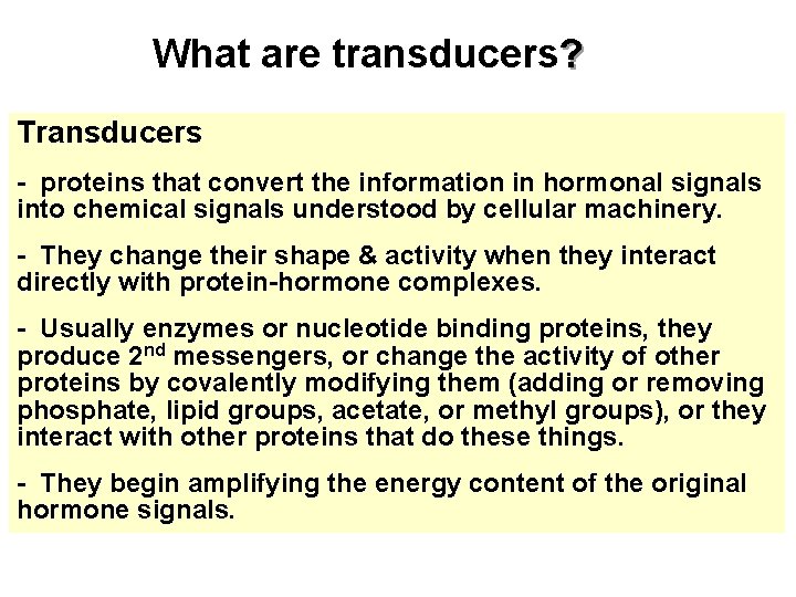 What are transducers? Transducers - proteins that convert the information in hormonal signals into