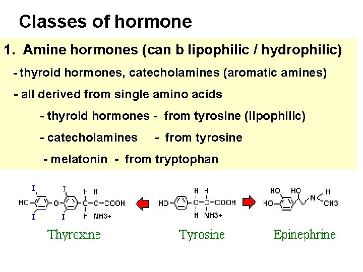 Classes of hormone 1. Amine hormones (can b lipophilic / hydrophilic) - thyroid hormones,