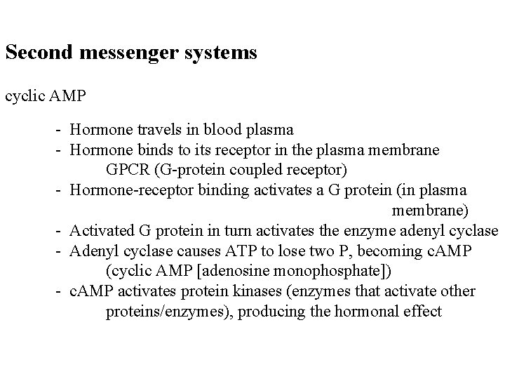 Second messenger systems cyclic AMP - Hormone travels in blood plasma - Hormone binds