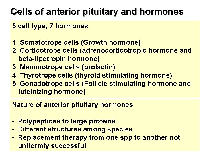 Cells of anterior pituitary and hormones 5 cell type; 7 hormones 1. Somatotrope cells