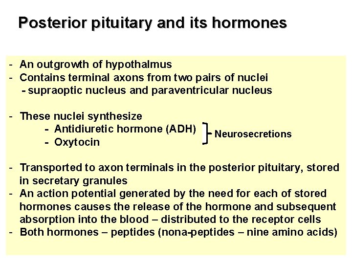 Posterior pituitary and its hormones - An outgrowth of hypothalmus - Contains terminal axons