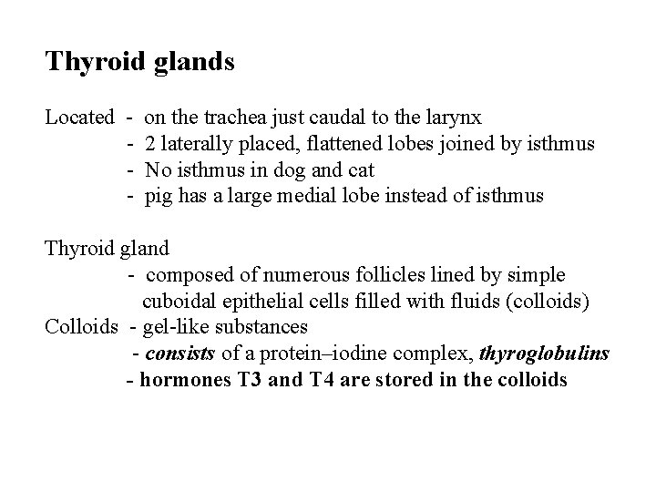 Thyroid glands Located - on the trachea just caudal to the larynx 2 laterally