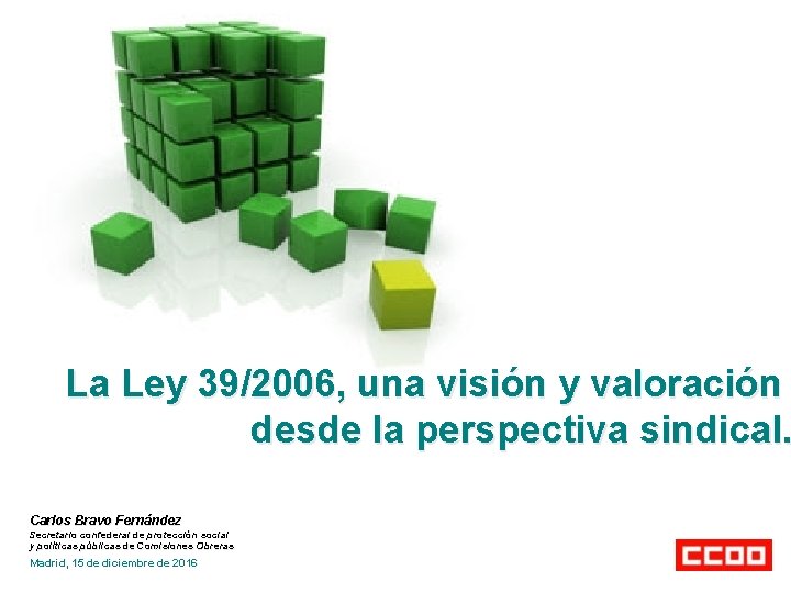 La Ley 39/2006, una visión y valoración desde la perspectiva sindical. Carlos Bravo Fernández