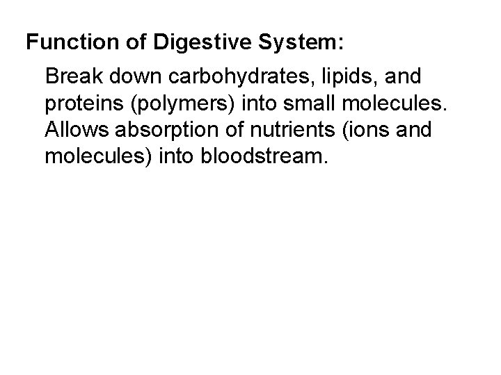 Function of Digestive System: Break down carbohydrates, lipids, and proteins (polymers) into small molecules.