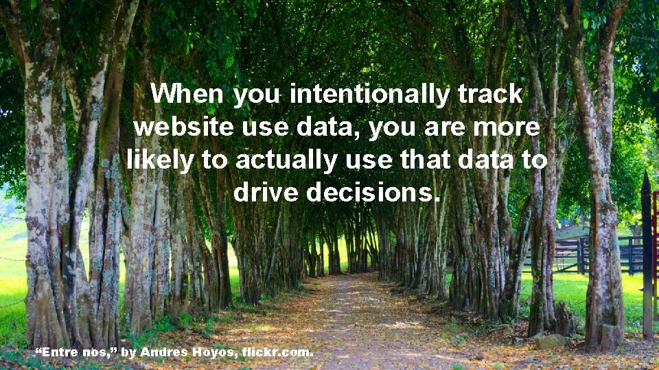 When you intentionally track website use data, you are more likely to actually use