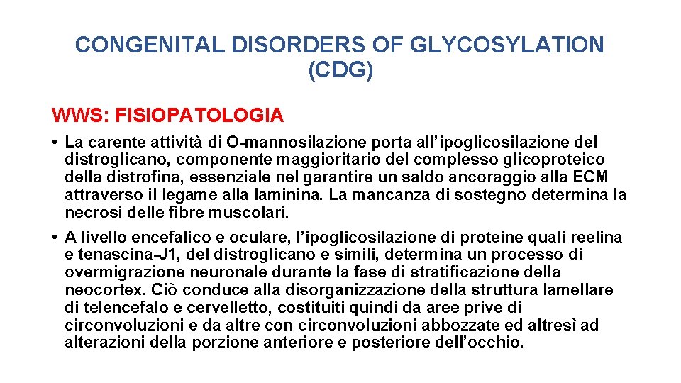 CONGENITAL DISORDERS OF GLYCOSYLATION (CDG) WWS: FISIOPATOLOGIA • La carente attività di O-mannosilazione porta