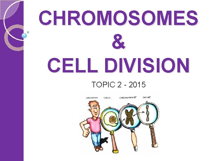 CHROMOSOMES & CELL DIVISION TOPIC 2 - 2015 