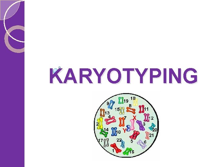 KARYOTYPING 