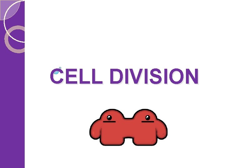 CELL DIVISION 