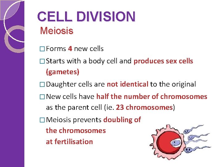 CELL DIVISION Meiosis � Forms 4 new cells � Starts with a body cell