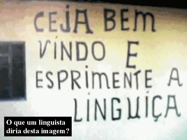 O que um linguista diria desta imagem? 
