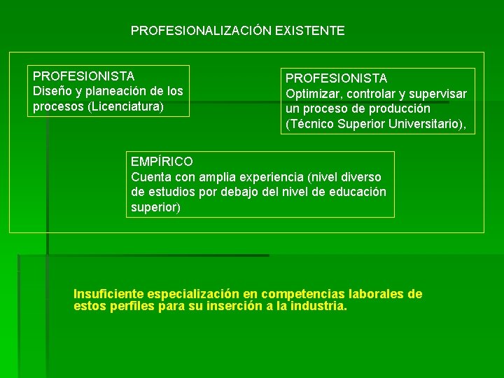 PROFESIONALIZACIÓN EXISTENTE PROFESIONISTA Diseño y planeación de los procesos (Licenciatura) PROFESIONISTA Optimizar, controlar y PROFESIONALIZACIÓN EXISTENTE PROFESIONISTA Diseño y planeación de los procesos (Licenciatura) PROFESIONISTA Optimizar, controlar y