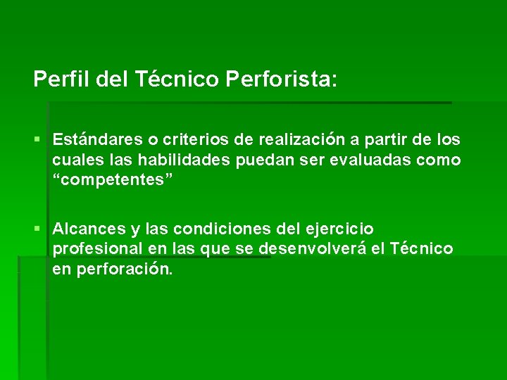 Perfil del Técnico Perforista: § Estándares o criterios de realización a partir de los