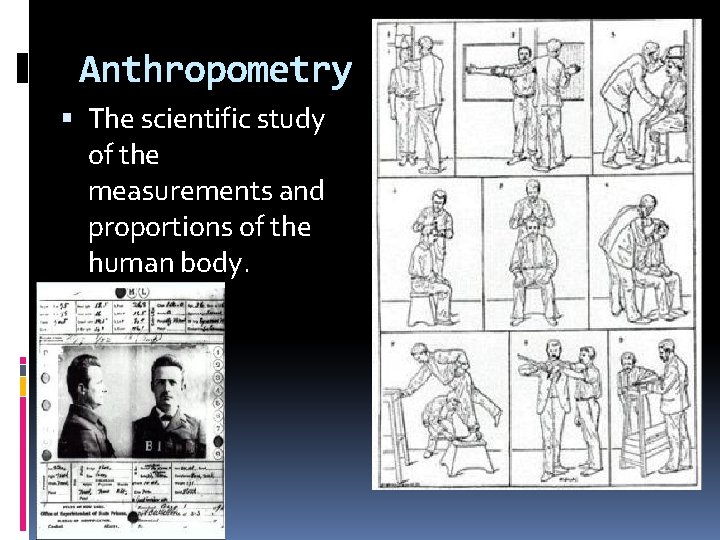 Anthropometry The scientific study of the measurements and proportions of the human body. 